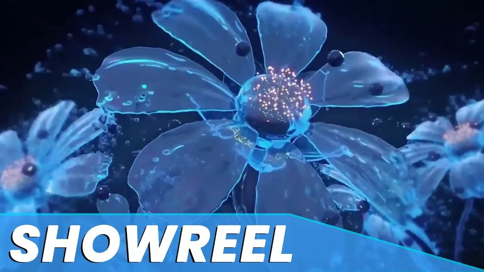 Graphic Cannon motion design showreel